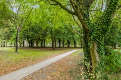 Azuurweg 298 Tilburg-38.jpg